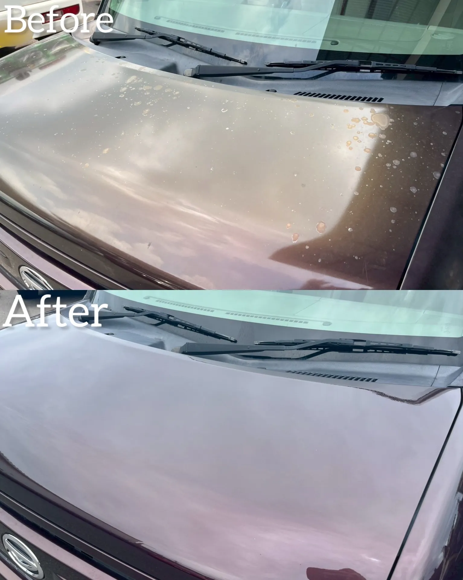 ムーヴコンテ　ボンネット　ルーフ　鈑金塗装　修理　交換　整備　点検　河内長野　狭山　富田林　南大阪　自社整備工場　Nプロジェクト